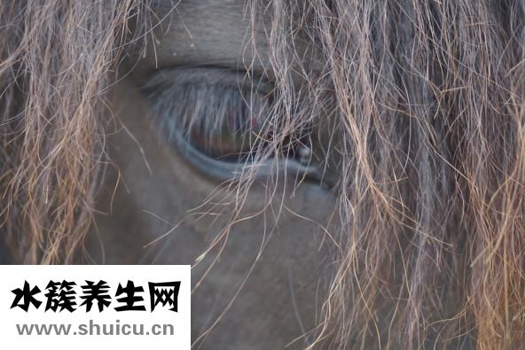 怎么去鸟巢
