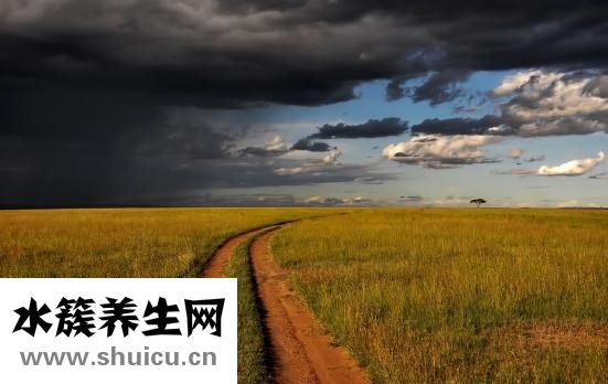 肾内科前景怎么样