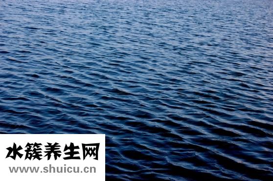 如何改掉坏习惯