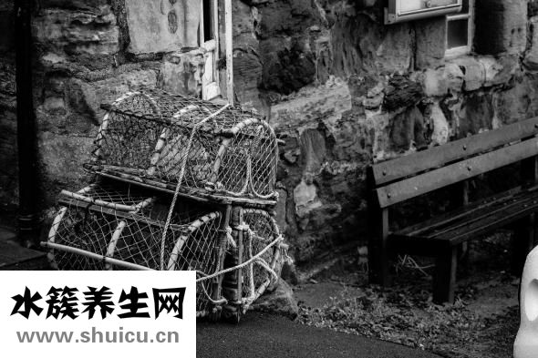 吃螃蟹过敏怎么办