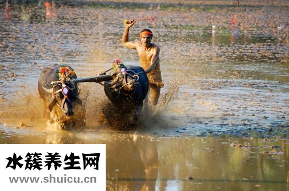 住意家居怎么样