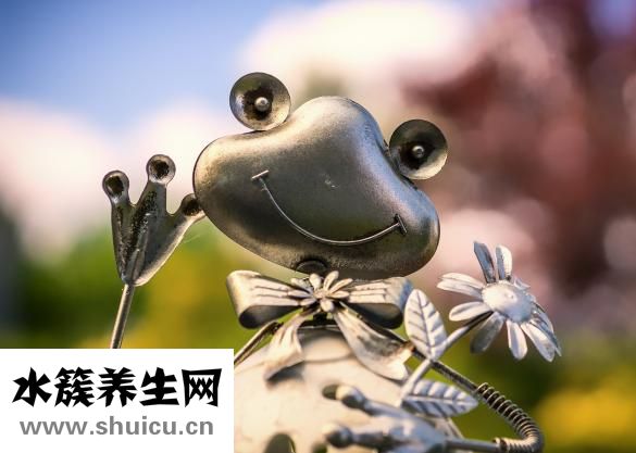 怎么样做牛肉干