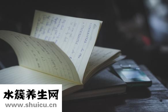 韩熙贞妆前乳怎么样