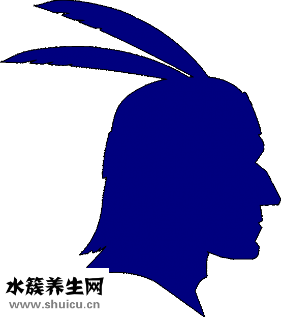 怎么去鸟巢