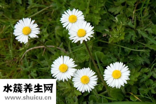 华佗膏怎么样