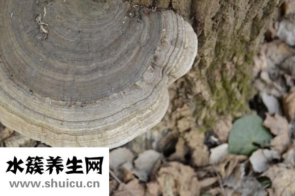 甲醛治理行业怎么样