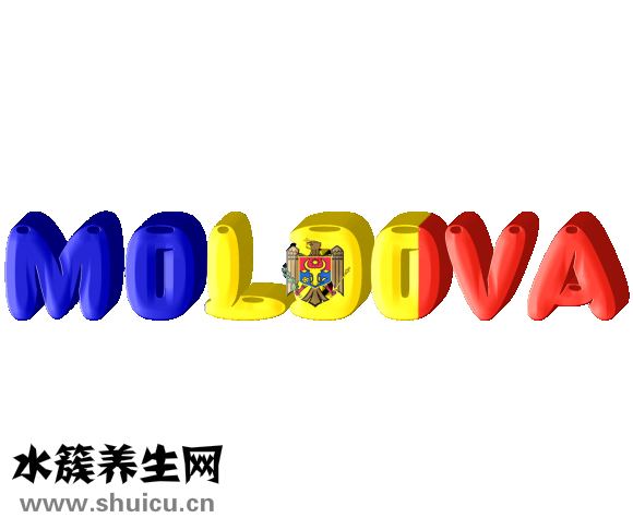 你要我怎么做