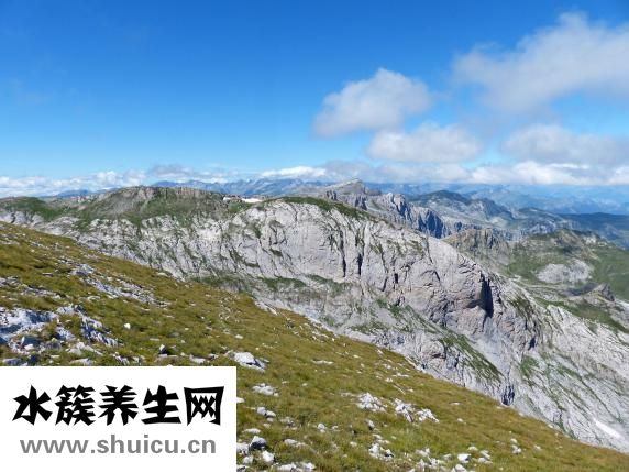 生产辣椒酱怎么样