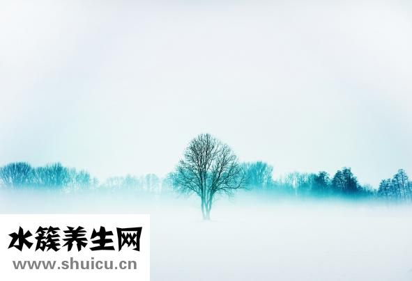 维妥立鱼肝油怎么样