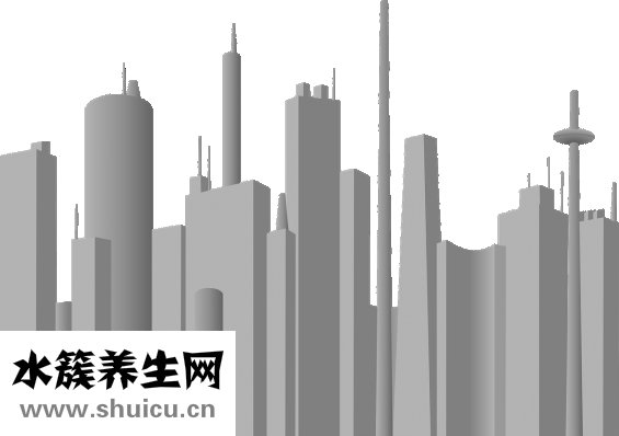 思亲肤该怎么使用比较好（爽肤水怎么用使用的正确方法）