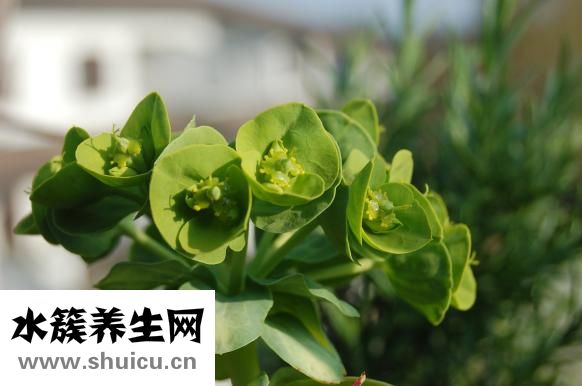 记号笔怎么洗