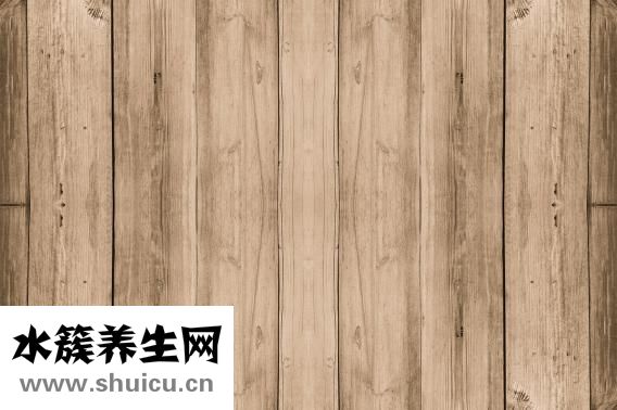 什么是木马