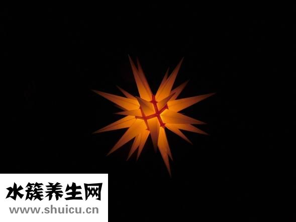 傲徒怎么样
