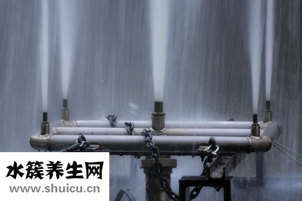 傲徒怎么样