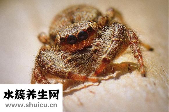 更年期如何治疗