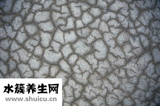 补水精华怎么样用