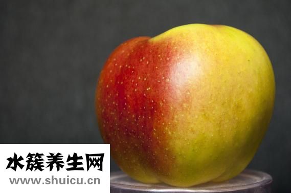 早教班怎么样