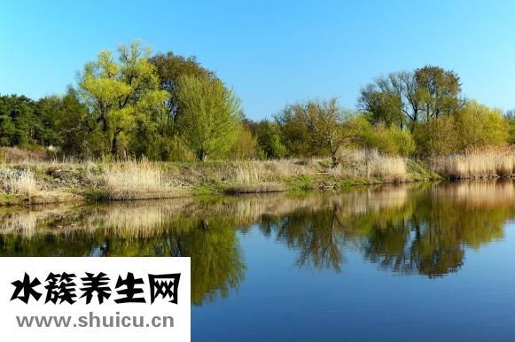 郎教授的书籍怎么样