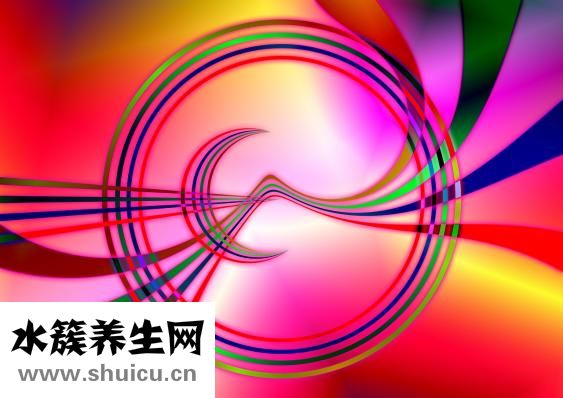 怎么样有效的减肥