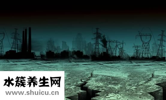 水养富贵竹怎么养