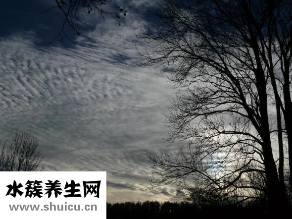 云成有机红糖怎么样