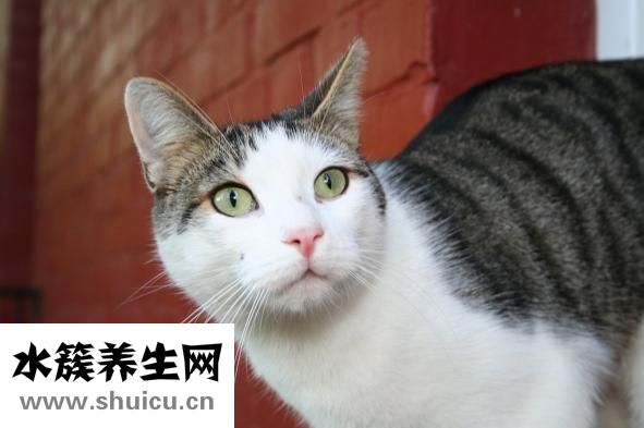 怎么样使月经推迟