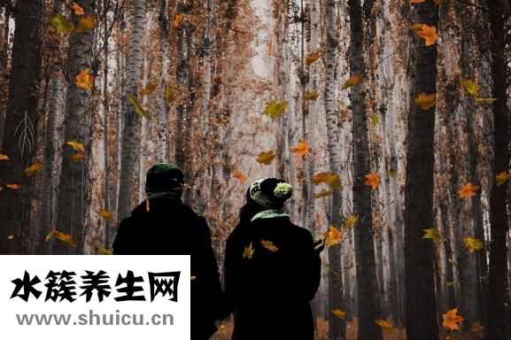 怎么样煮粥流程