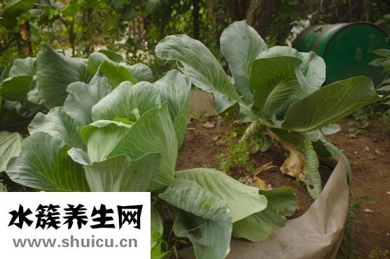 什么是混合物