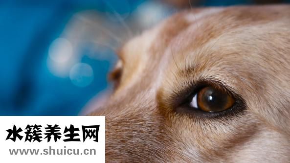 闵宝权怎么样