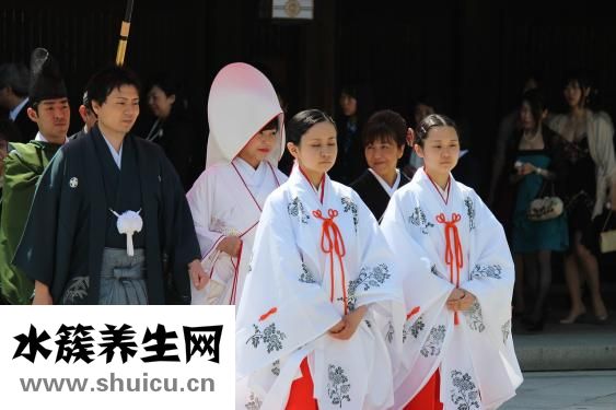 康加美怎么样