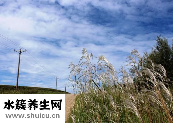 倭瓜怎么做