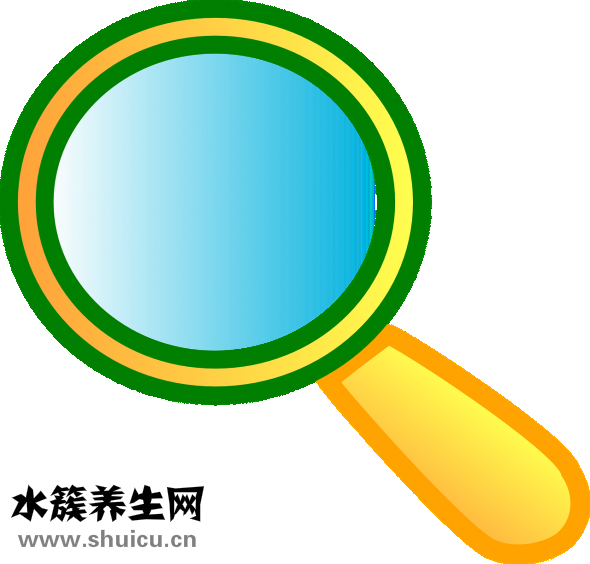 阿瞳视力仪怎么样