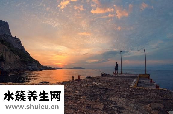 筑美养护贴怎么样
