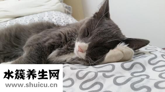 脸上长色斑怎么调理