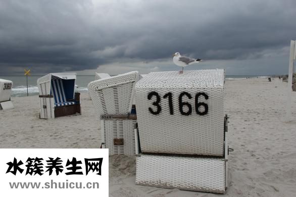派尔特怎么样
