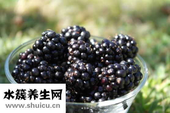 亦贝安水苏糖怎么样