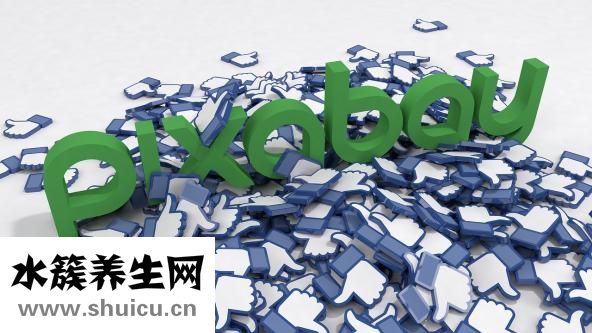 友钱宝怎么样