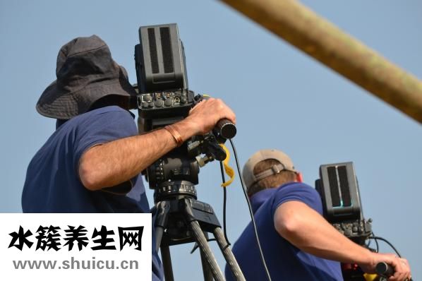 乌鱼子是什么