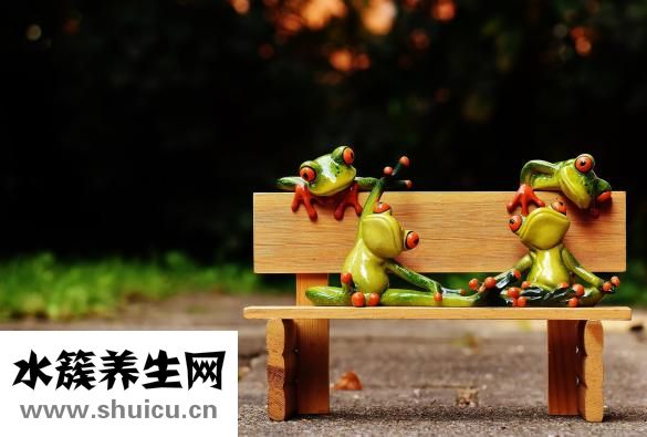 酷迪斯怎么样