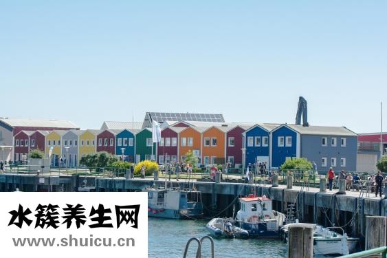 派尔特怎么样