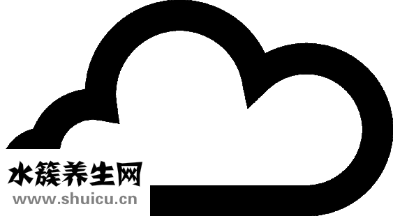 春节怎么过