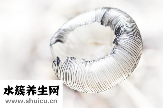 拓瑞检测怎么样