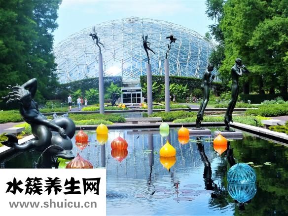 带草字头的字有哪些