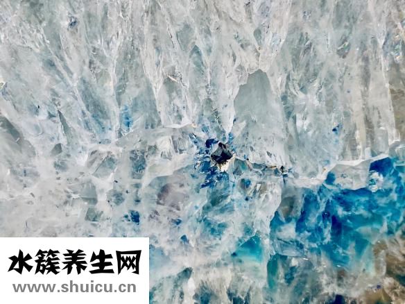 维妥立鱼肝油怎么样