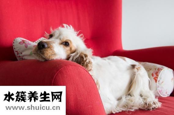 新生儿湿疹怎么治