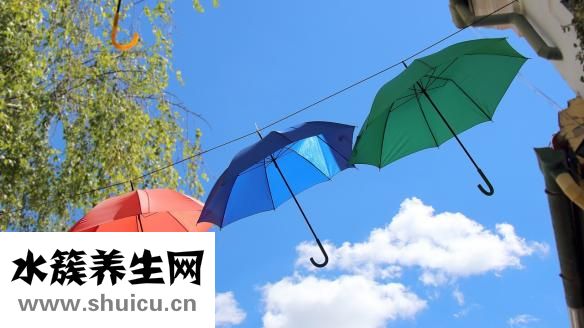 防晒乳液怎么用