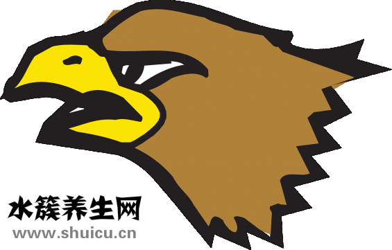 怎么减咬肌