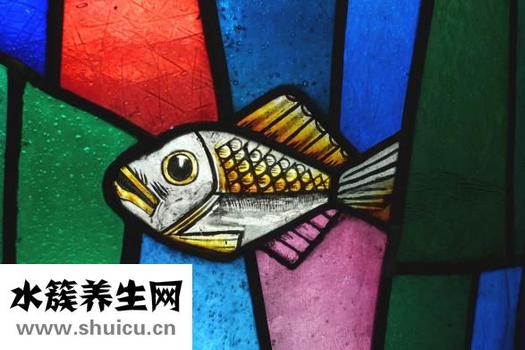 坏习惯有哪些
