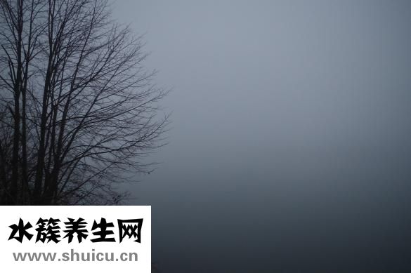傲徒怎么样