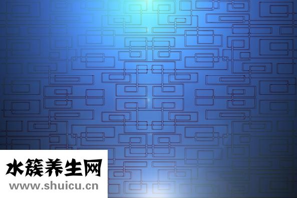 黄芪破壁饮片怎么样